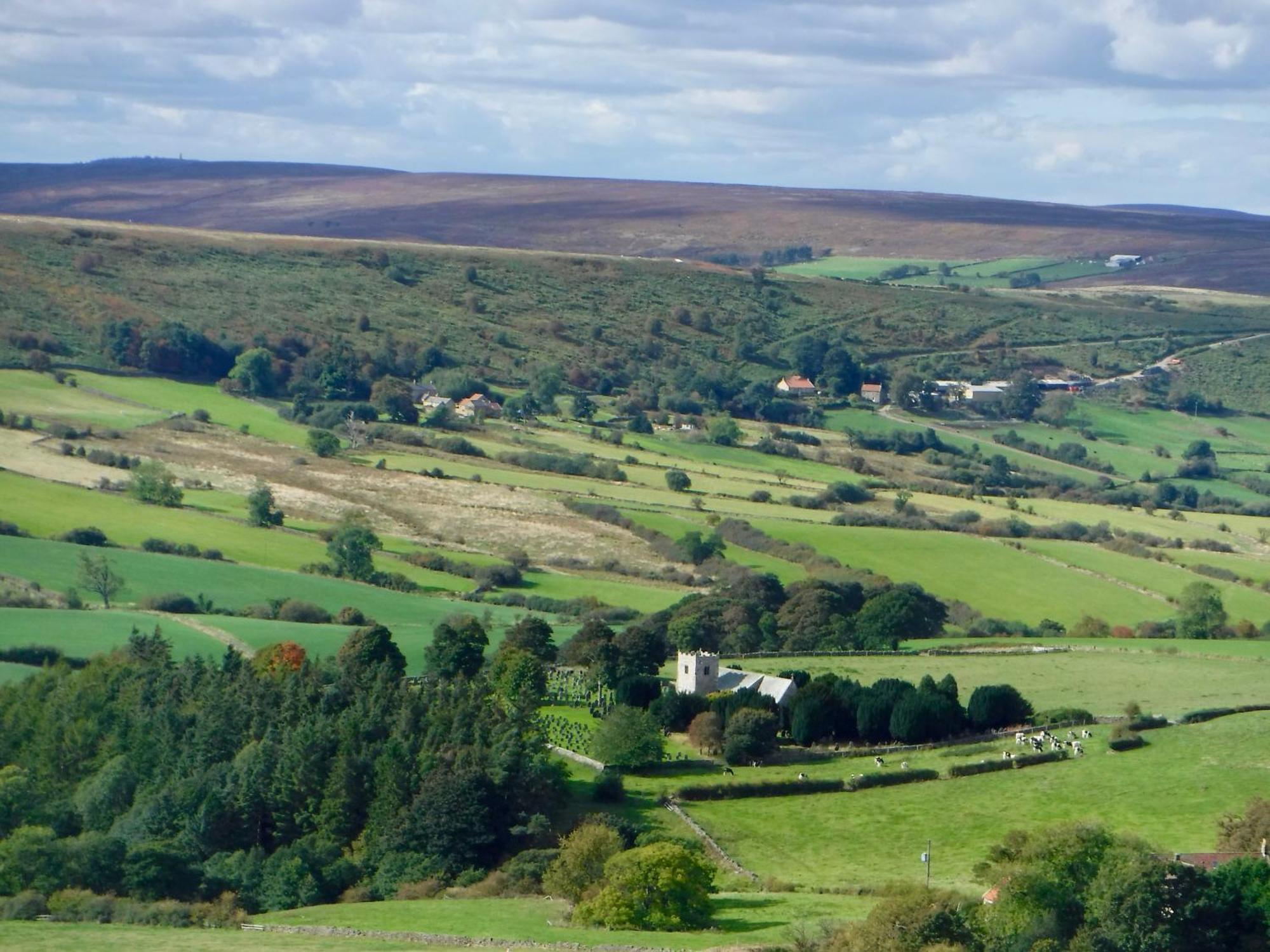 Church House Farm Danby Екстер'єр фото