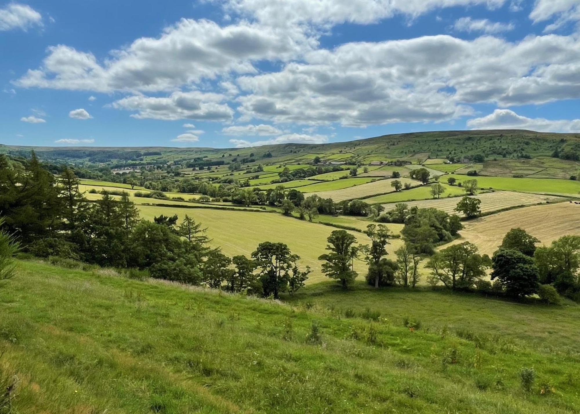 Church House Farm Danby Екстер'єр фото